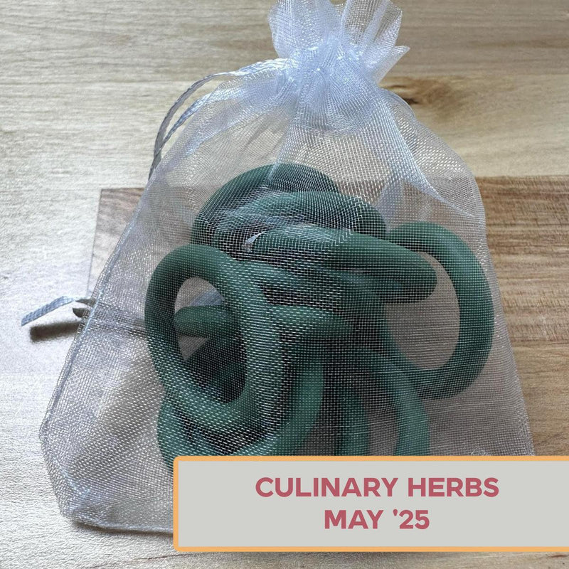 Silicone Rings - Culinary Herbs (Green)-Silicone Ring-Keep On Looping-Acorns & Twigs