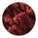 Plant Pigment Powder - 50 ml-Painting-Artemis-Acorns & Twigs